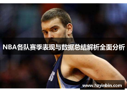 NBA各队赛季表现与数据总结解析全面分析