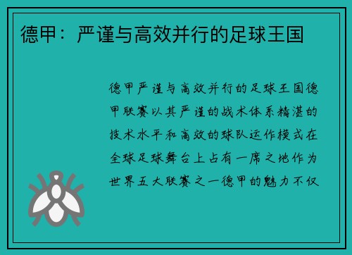德甲:严谨与高效并行的足球王国 德甲:严谨与高效并行的足球王国